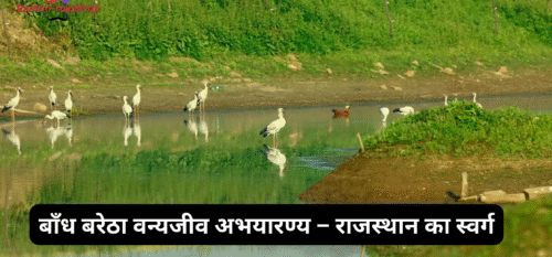 BANDH BARETHA WILDLIFE SANCTUARY