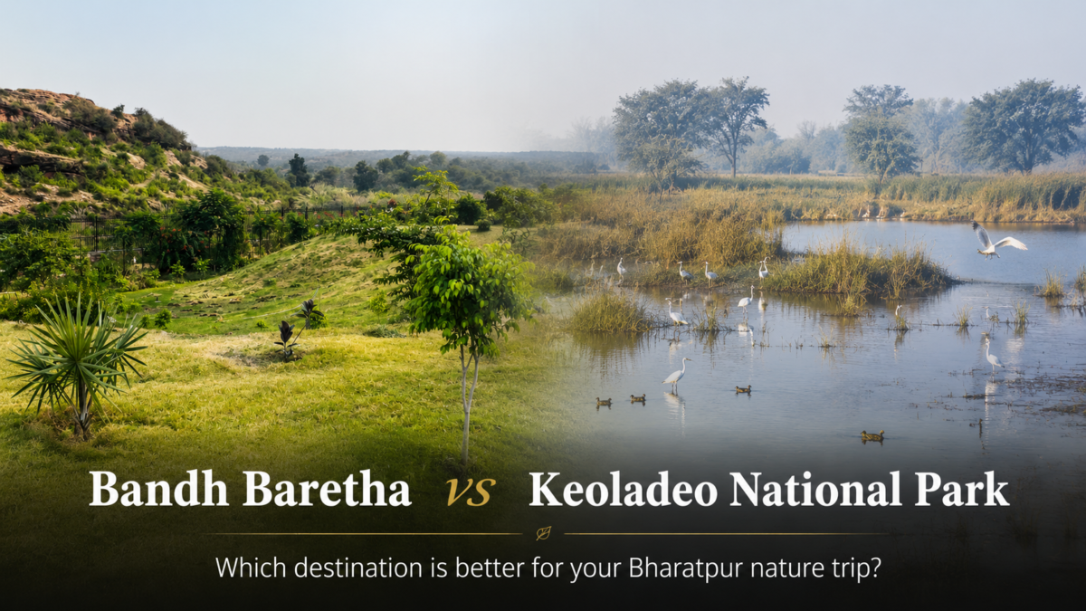 bandh baretha vs bharatpur